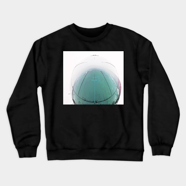 nose plane Crewneck Sweatshirt by tanjawillekens